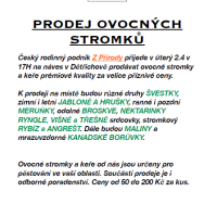 Český rodinný podnik Z Přírody přijede 2.4.2024 na náves v Dětřichově prodávat ovocné stromky a keře.